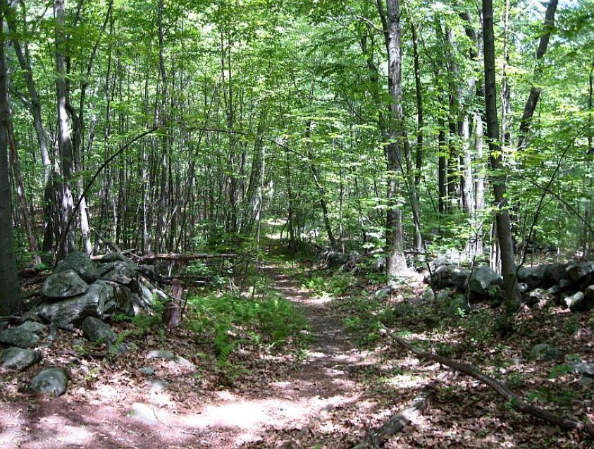 Hopedale Parklands Saltbox Road Area
